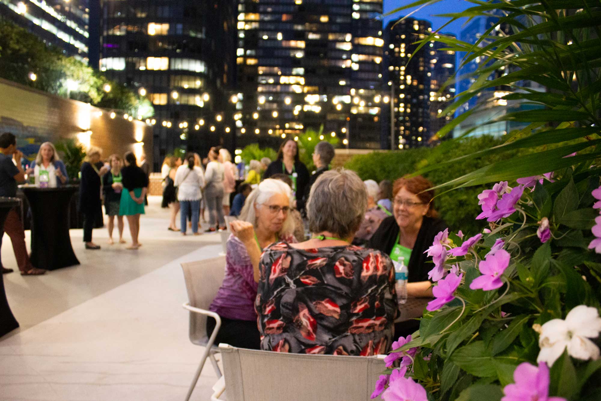 Image inside a figure